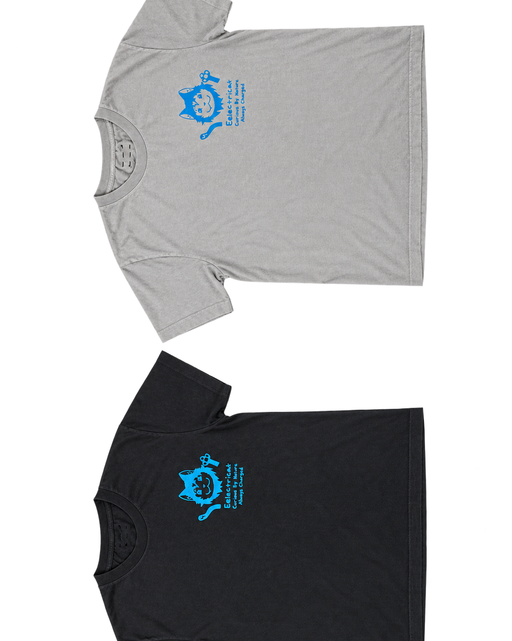 the original eelectricat tee — washed black
