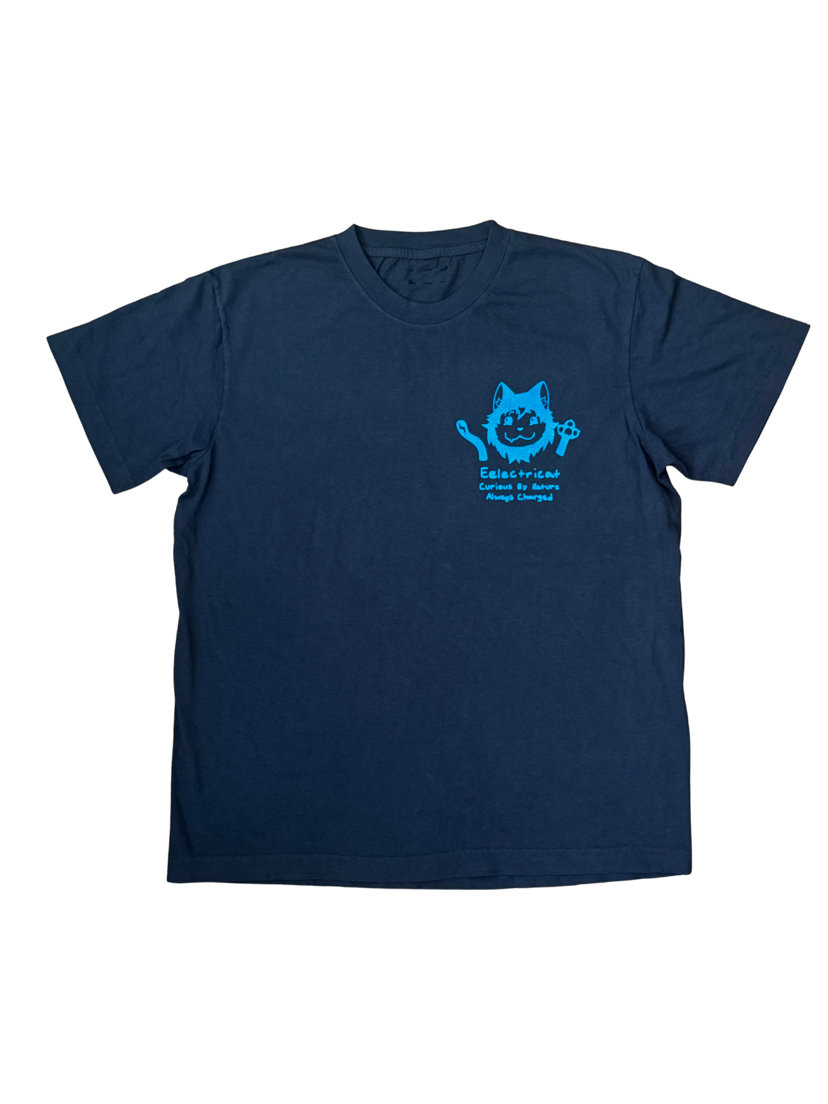 the original eelectricat tee — washed black