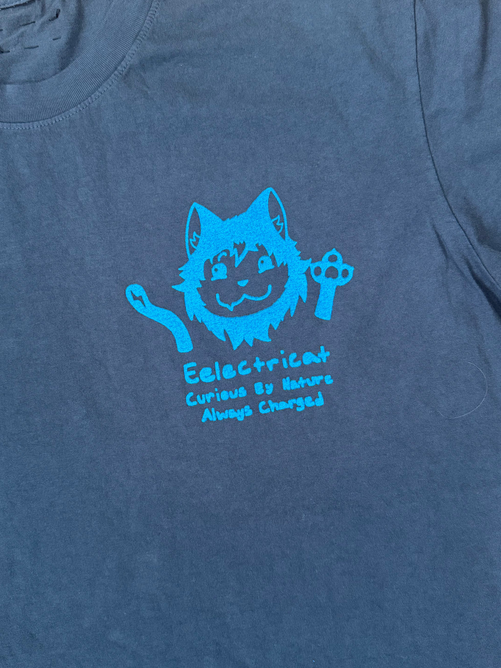 the original eelectricat tee — washed black