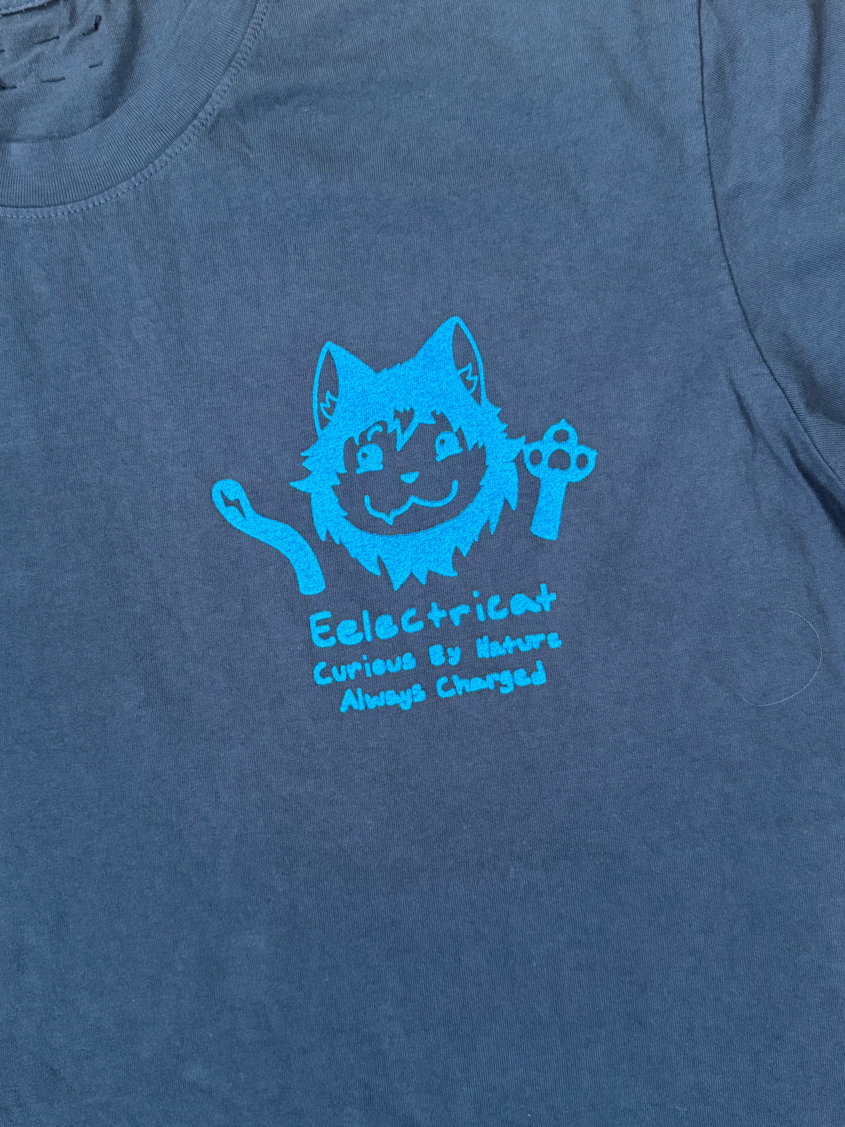 the original eelectricat tee — washed black